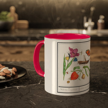 Natural History Ensemble, No. 17 by Anselmus Boëtius de Boodt Colorful Mugs, 11oz
