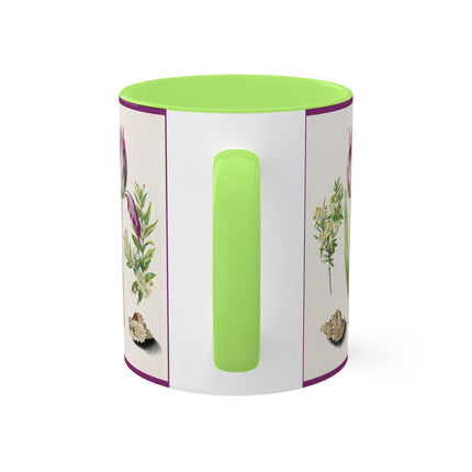 Tulip, Branches of Myrtle and Shells by Maria Sibylla Merian Colorful Mugs, 11oz
