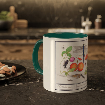 Natural History Ensemble, No. 7 by Anselmus Boëtius de Boodt Colorful Mugs, 11oz