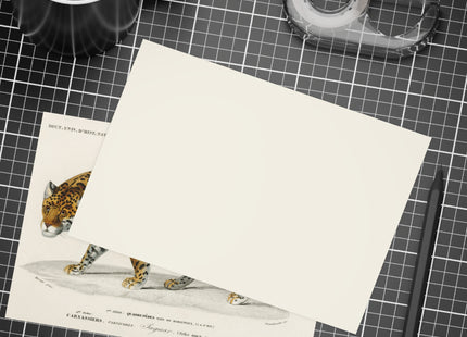 Jaguar by Charles Dessalines D'Orbigny Postcards (envelopes included) - Bundles of 10, 30, 50 Pieces
