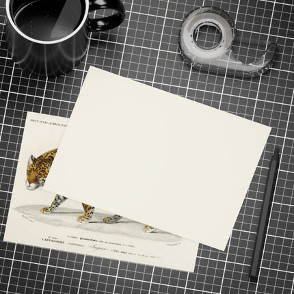 Jaguar by Charles Dessalines D'Orbigny Postcards (envelopes included) - Bundles of 10, 30, 50 Pieces