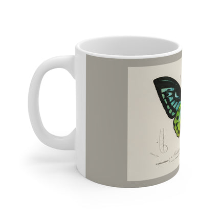 Green Birdwing by Charles Dessalines D' Orbigny Ceramic Mug 11oz