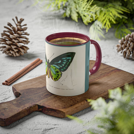 Green Birdwing by Charles Dessalines D' Orbigny Colorful Mugs, 11oz