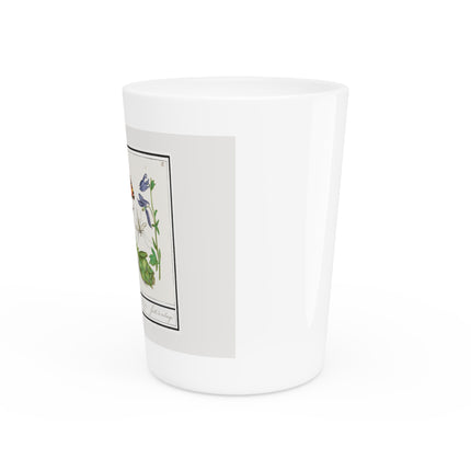 Natural History Ensemble, No. 17 by Anselmus Boëtius de Boodt Ceramic Shot Glass