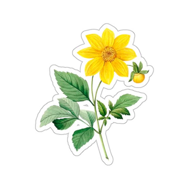Dahlia botanical illustration by Pierre-Joseph Redouté Kiss-Cut Stickers (4 Sizes)