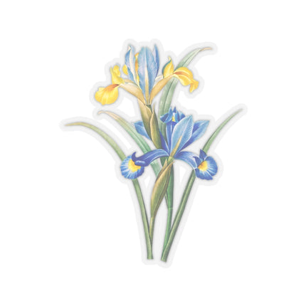 Spanish Iris botanical illustration by Pierre-Joseph Redouté Kiss-Cut Stickers (4 Sizes)