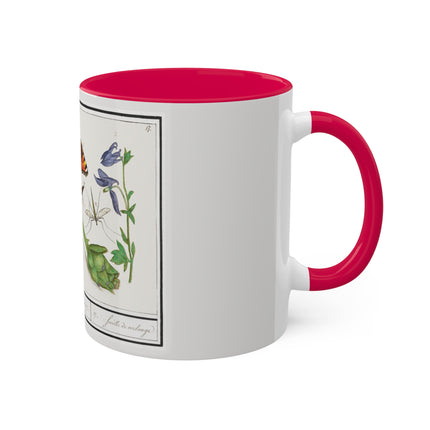 Natural History Ensemble, No. 17 by Anselmus Boëtius de Boodt Colorful Mugs, 11oz