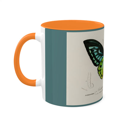 Green Birdwing by Charles Dessalines D' Orbigny Colorful Mugs, 11oz
