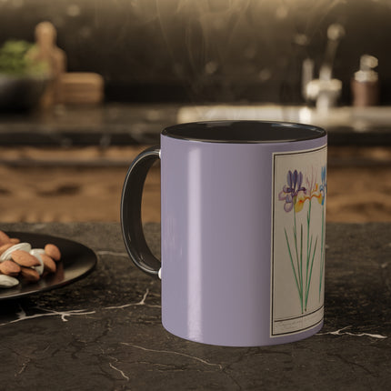 Iris, Iris sibirica by Anselmus Boëtius de Boodt Colorful Mugs, 11oz