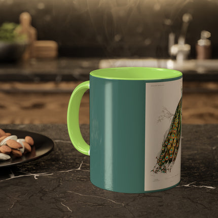 Indian Peafowl by Charles Dessalines D' Orbigny Colorful Mugs, 11oz