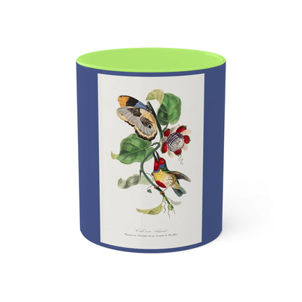 Versicolored Barbet by Paul Gervais Colorful Mugs, 11oz