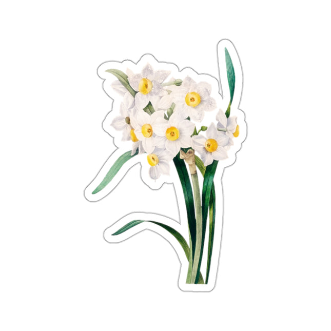 Chinese Sacred Lily botanical illustration by Pierre-Joseph Redouté Kiss-Cut Stickers (4 Sizes)
