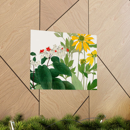 Clerodendrum & Rudbeckia by Tanigami Kônan Premium Matte Horizontal Posters