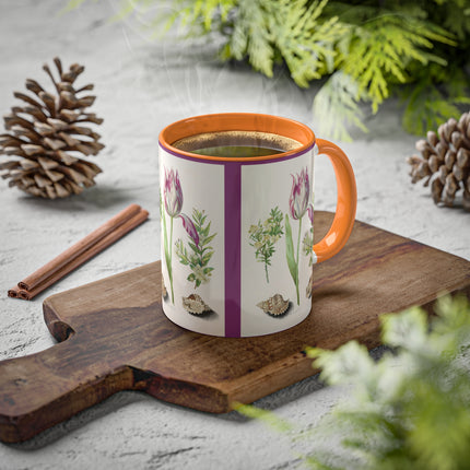 Tulip, Branches of Myrtle and Shells by Maria Sibylla Merian Colorful Mugs, 11oz