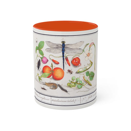 Natural History Ensemble, No. 7 by Anselmus Boëtius de Boodt Colorful Mugs, 11oz