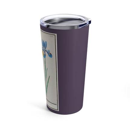 Iris, Iris sibirica by Anselmus Boëtius de Boodt Tumbler 20oz