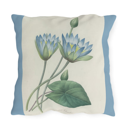 Choix des plus belles fleurs, Plate 055 by Pierre Joseph Redouté Outdoor Pillows