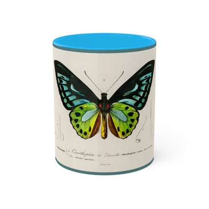 Green Birdwing by Charles Dessalines D' Orbigny Colorful Mugs, 11oz