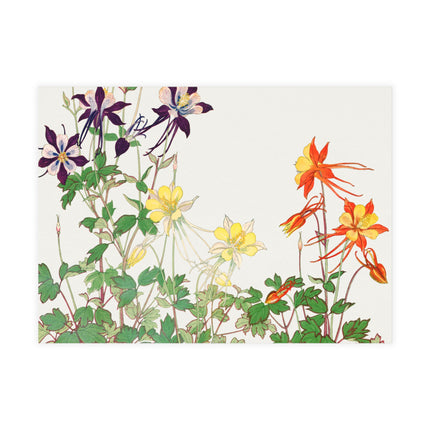 Aquilegia Flower by Tanigami Kônan Postcards (envelopes included) - Bundles of 10, 30, 50 Pieces