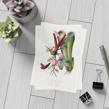 Hummingbird by Paul Gervais Postcards (envelopes included) - Bundles of 10, 30, 50 Pieces