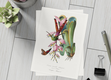 Hummingbird by Paul Gervais Postcards (envelopes included) - Bundles of 10, 30, 50 Pieces