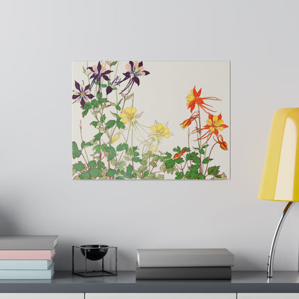 Aquilegia Flower by Tanigami Kônan – Japanese Botanical Art