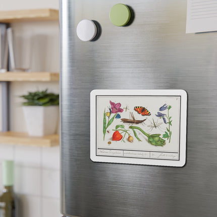 Natural History Ensemble, No. 17 Die-Cut Magnets (5 Sizes)