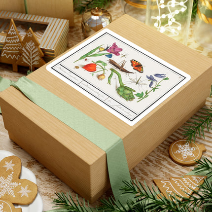 Natural History Ensemble, No. 17 by Anselmus Boëtius de Boodt Kiss-Cut Stickers (4 Sizes)