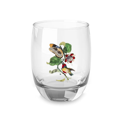 Versicolored Barbet by Paul Gervais Whiskey Glass