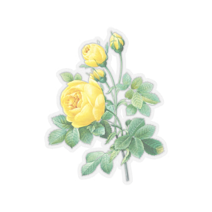 Yellow Rose Botanical Illustration by Pierre-Joseph Redouté Kiss-Cut Stickers (4 Sizes)