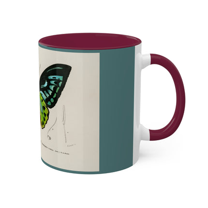 Green Birdwing by Charles Dessalines D' Orbigny Colorful Mugs, 11oz