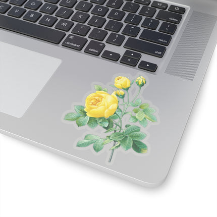 Yellow Rose Botanical Illustration by Pierre-Joseph Redouté Kiss-Cut Stickers (4 Sizes)