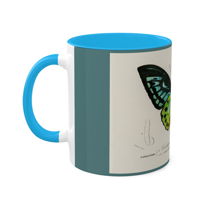 Green Birdwing by Charles Dessalines D' Orbigny Colorful Mugs, 11oz