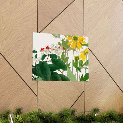 Clerodendrum & Rudbeckia by Tanigami Kônan Premium Matte Horizontal Posters
