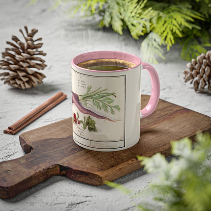 Carrot, Daucus Carota and Red currant, Ribes rubrum by Anselmus Boëtius de Boodt Colorful Mugs, 11oz