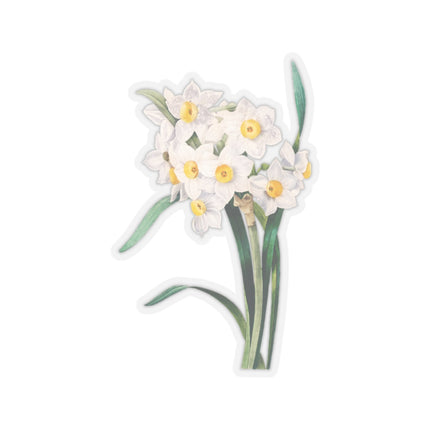 Chinese Sacred Lily botanical illustration by Pierre-Joseph Redouté Kiss-Cut Stickers (4 Sizes)