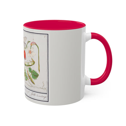 Natural History Ensemble, No. 7 by Anselmus Boëtius de Boodt Colorful Mugs, 11oz
