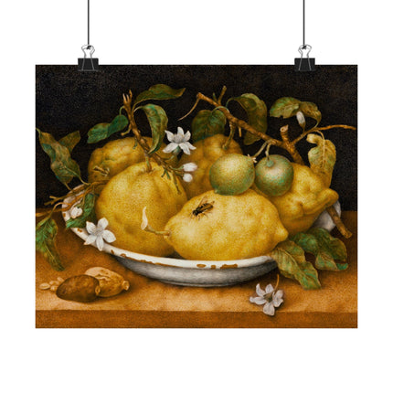 Still Life with Bowl of Citrons by Giovanna Garzoni Matte Horizontal Posters