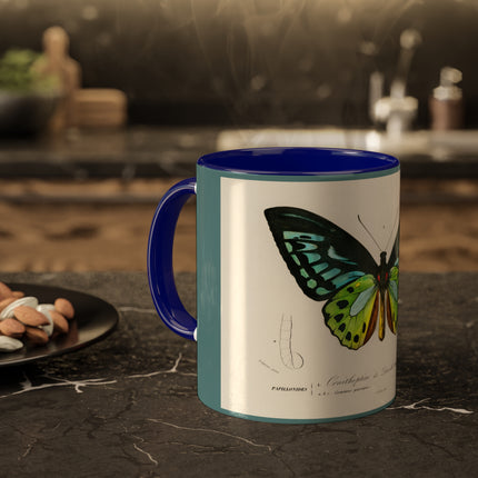 Green Birdwing by Charles Dessalines D' Orbigny Colorful Mugs, 11oz