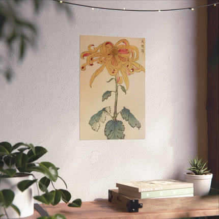 Chrysanthemum Grace Fine Art Poster