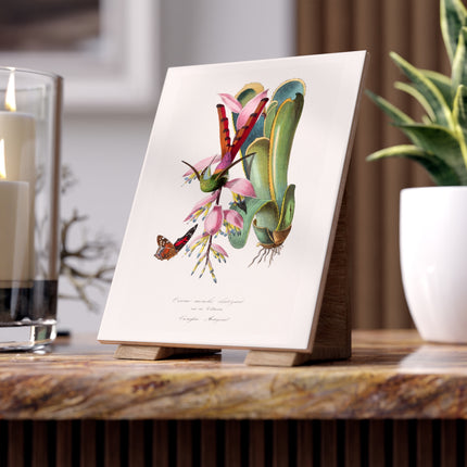 Hummingbird by Paul Gervais Ceramic Tile
