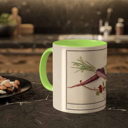 Carrot, Daucus Carota and Red currant, Ribes rubrum by Anselmus Boëtius de Boodt Colorful Mugs, 11oz