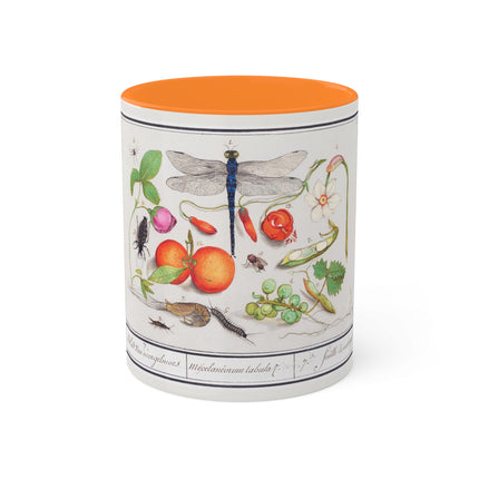 Natural History Ensemble, No. 7 by Anselmus Boëtius de Boodt Colorful Mugs, 11oz