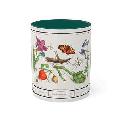 Natural History Ensemble, No. 17 by Anselmus Boëtius de Boodt Colorful Mugs, 11oz