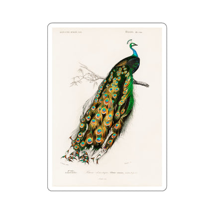 Indian Peafowl by Charles Dessalines D' Orbigny Kiss-Cut Stickers (4 Sizes)