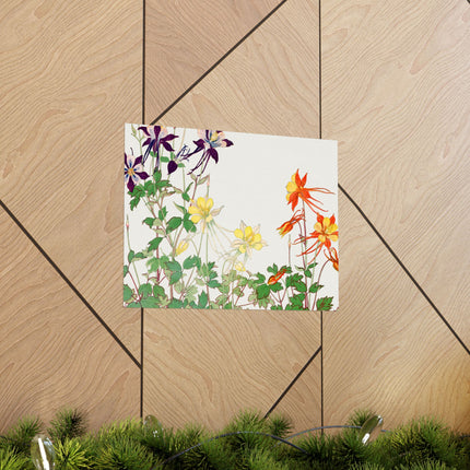 Aquilegia Flower by Tanigami Kônan Premium Matte horizontal posters
