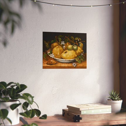Still Life with Bowl of Citrons by Giovanna Garzoni Matte Horizontal Posters