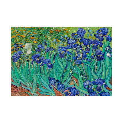 Irises by Vincent Van Gogh Matte Horizontal Posters