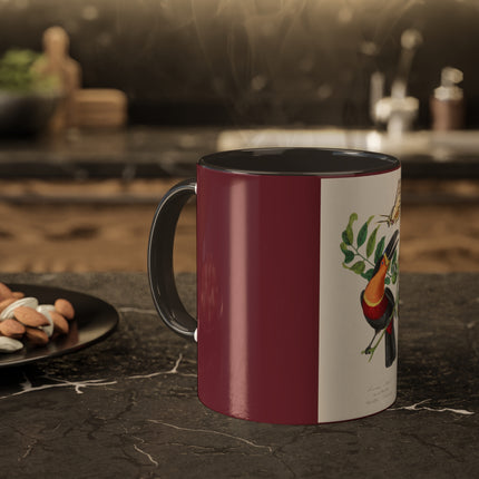 Channel Billed Toucan by Paul Gervais Colorful Mugs, 11oz