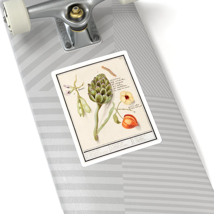 Artichoke, Cynara scolymus, broad beans, Vicia faba and lampion plant, Physalis by Anselmus Boëtius de Boodt Kiss-Cut Stickers (4 Sizes)